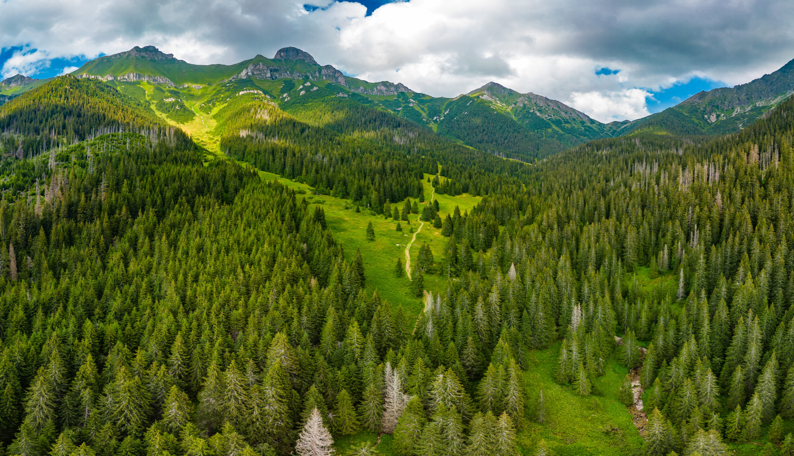 Aerial drone panoramic view of the educational trail Zadne Medodoly, High Tatras, Slovakia.